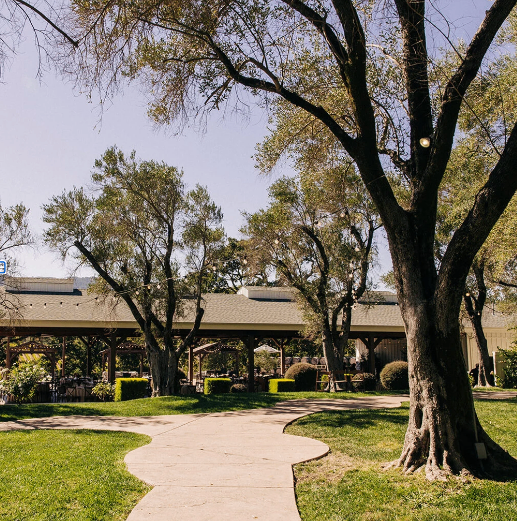 Curved path approaching the pavilion beside the Olive Grove lawn