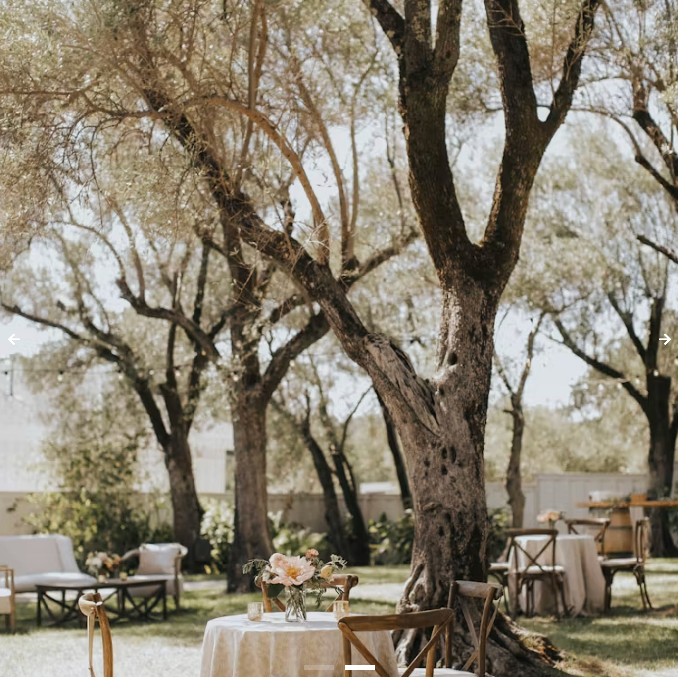 Olive Grove